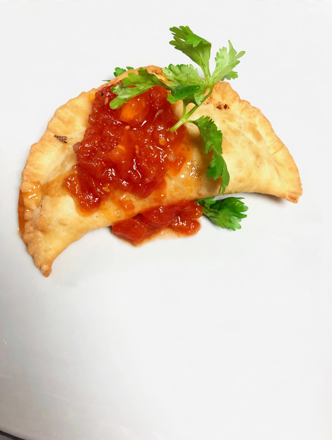 Empanada with fresh salsa and cilantro