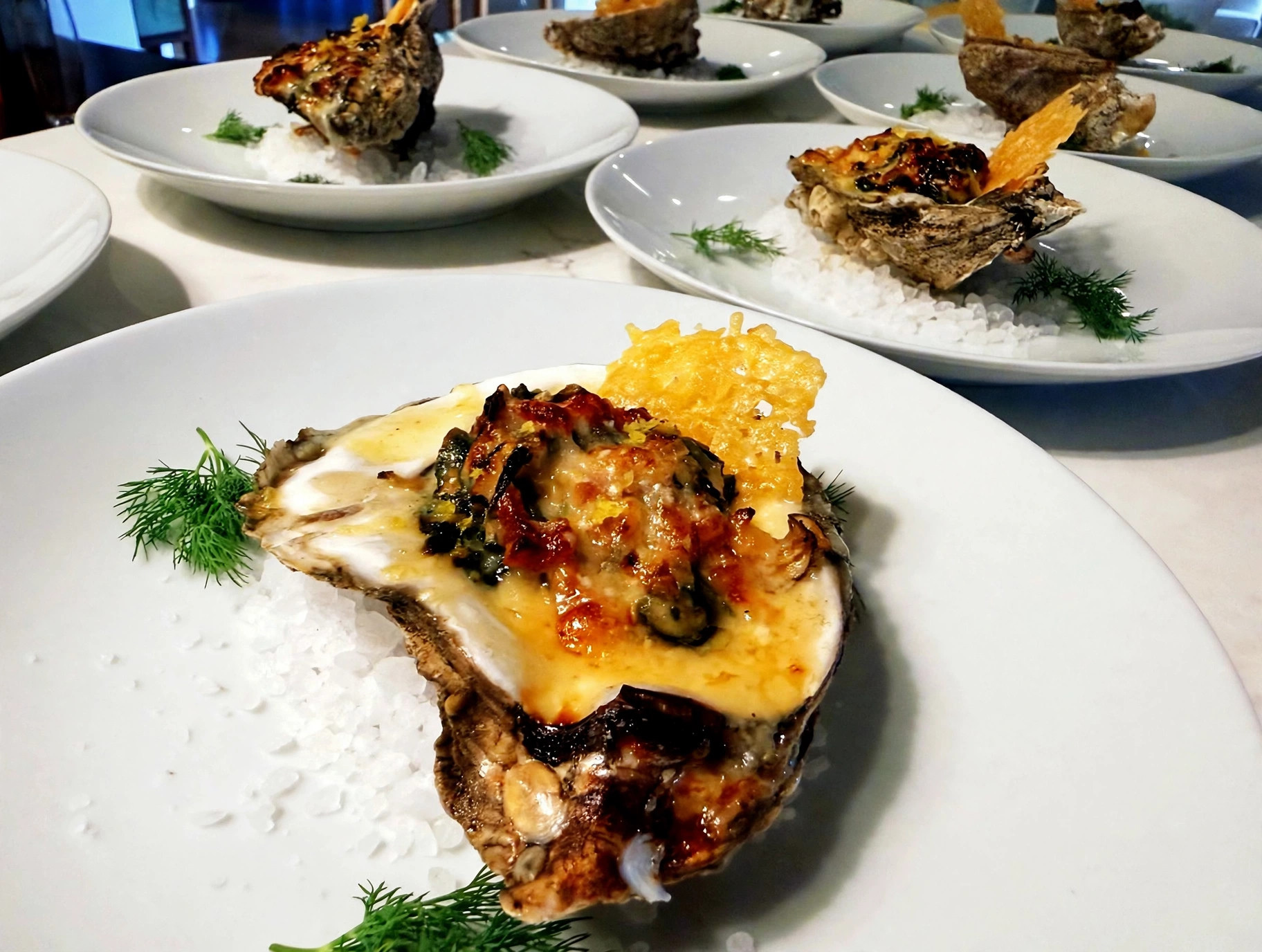 Baked oysters with parmesan crisp